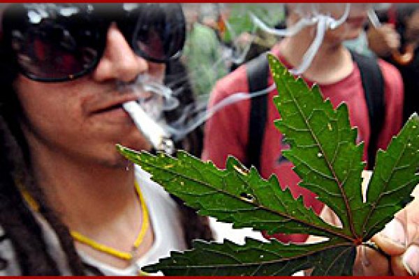 Кракен шоп что это