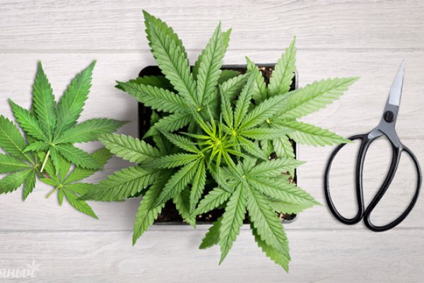 Кракен мефедрон