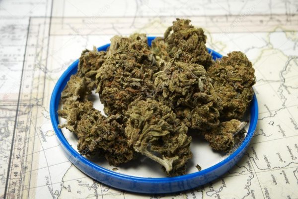 Значок кракена маркетплейса