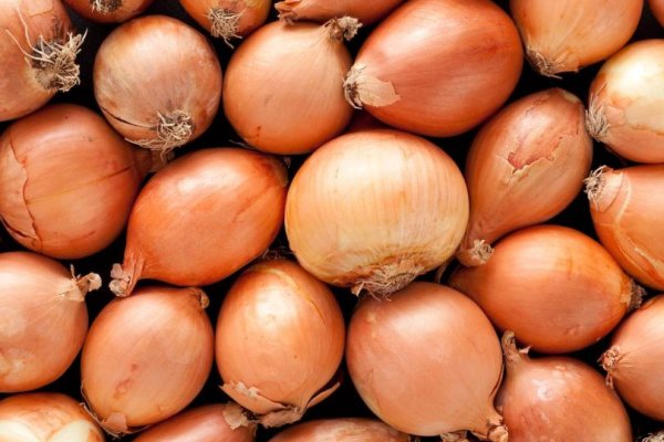 Мега зеркала тор онион мориарти кракен