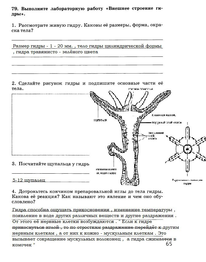 Ссылка на kraken торговая площадка