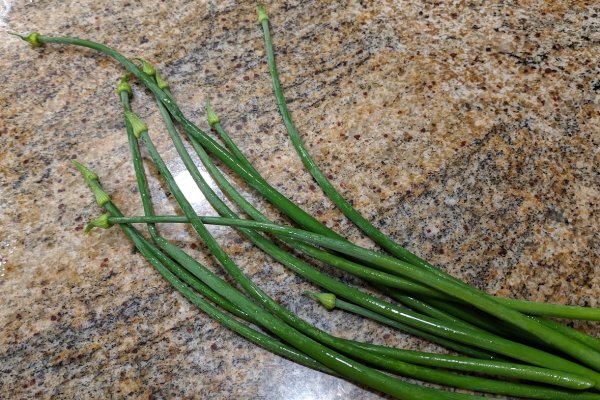 Кракен тор маркет пв