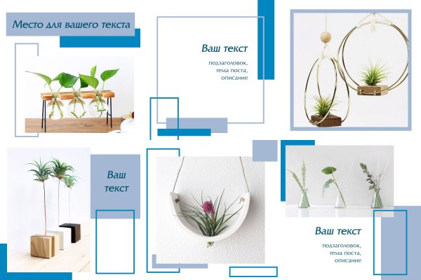 Как пополнить кошелек на кракене даркнет