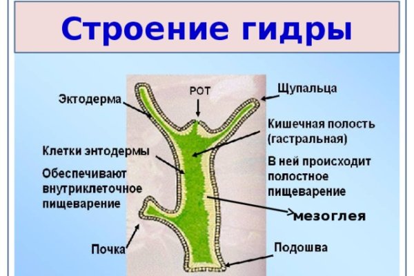 Кракен сайт продаж