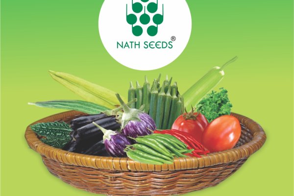 Площадка кракен kraken dark link