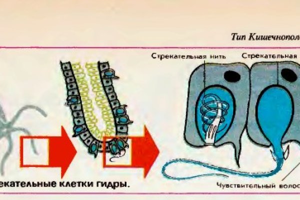 Кракен тор store