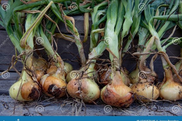 Модератор на кракене